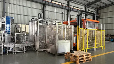Palletizing and wrapping system